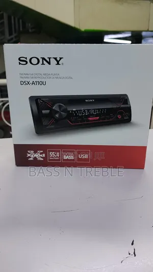 Sony DSX- A110u