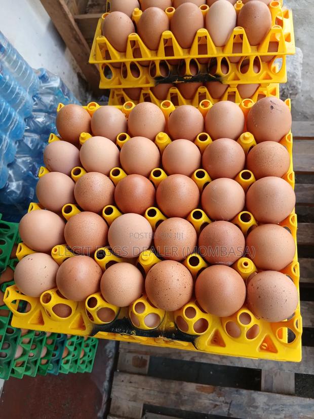 Layers Eggs - main view