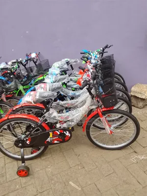 Bike Size 20