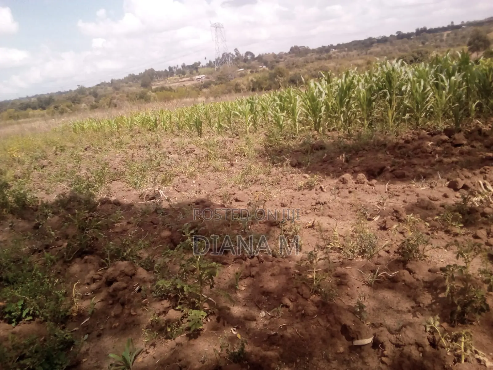 15 Acres for Sale in Ndaragwa