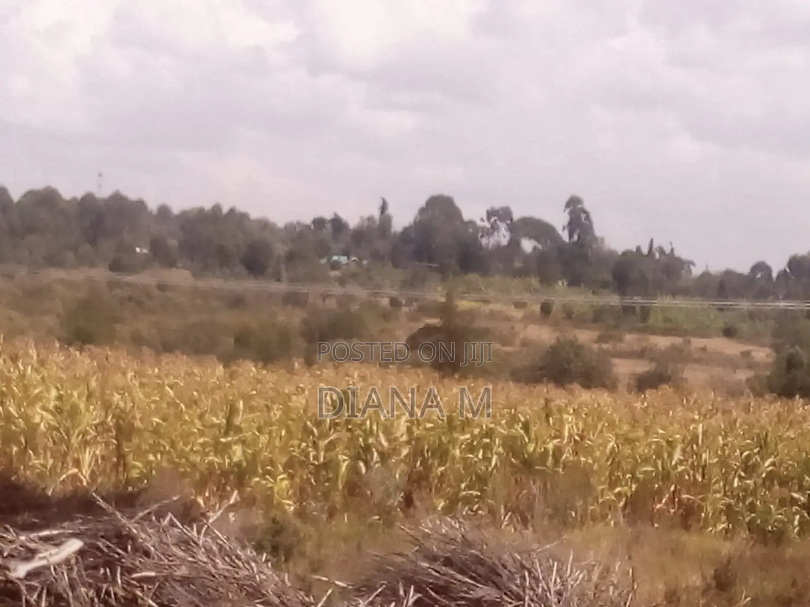 15 Acres for Sale in Ndaragwa
