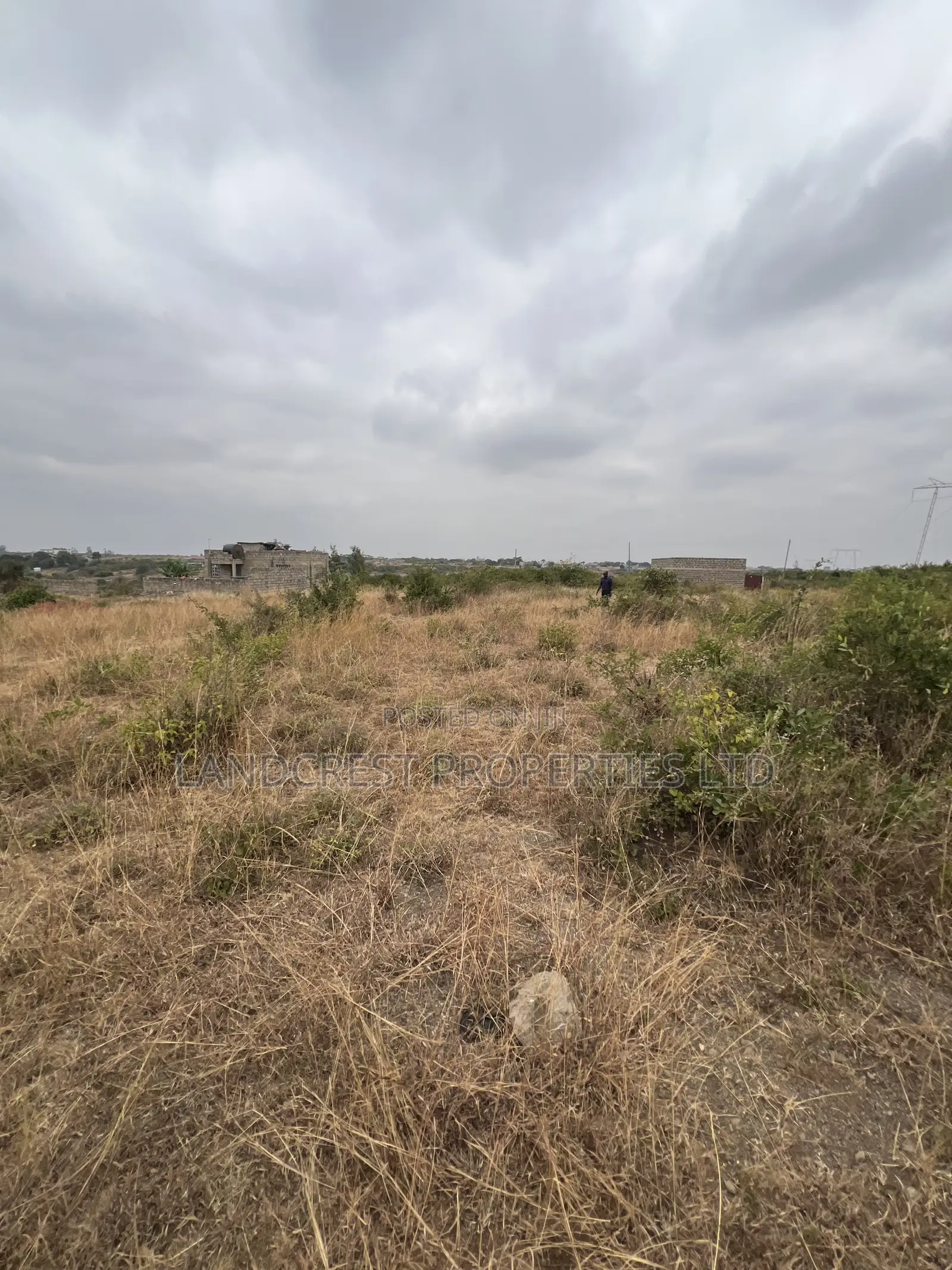 Prime 33*100 Plots for Sale in Juja, Mastore
