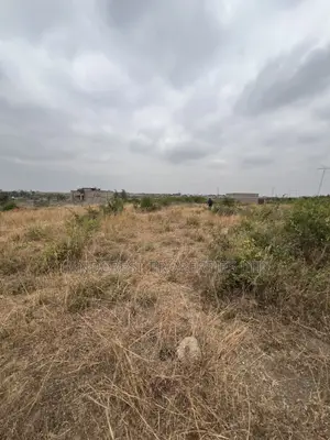 Prime 33*100 Plots for Sale in Juja, Mastore