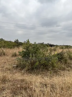 Prime 33*100 Plots for Sale in Juja, Mastore