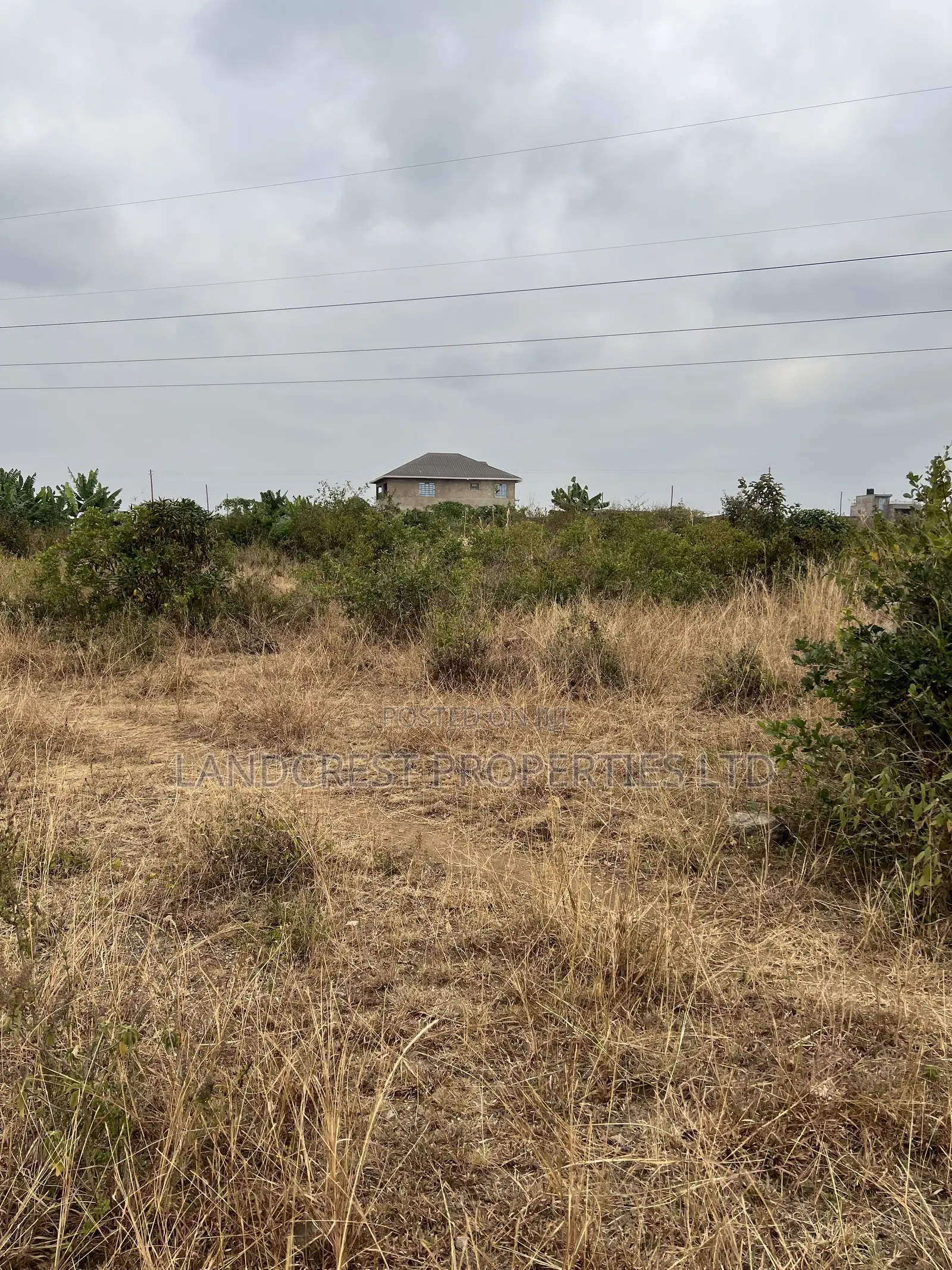 Prime 33*100 Plots for Sale in Juja, Mastore