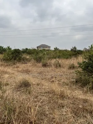 Prime 33*100 Plots for Sale in Juja, Mastore