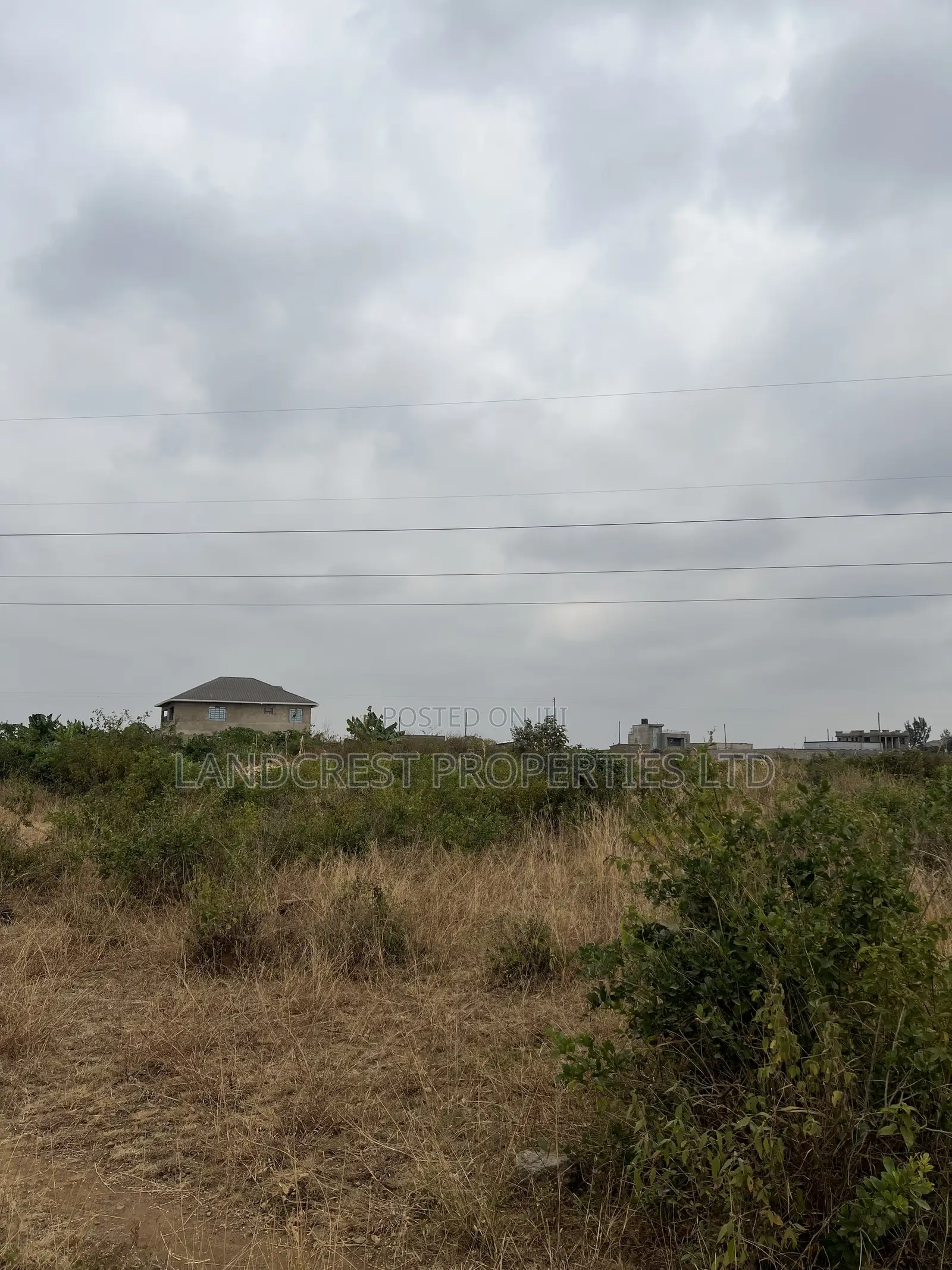 Prime 33*100 Plots for Sale in Juja, Mastore