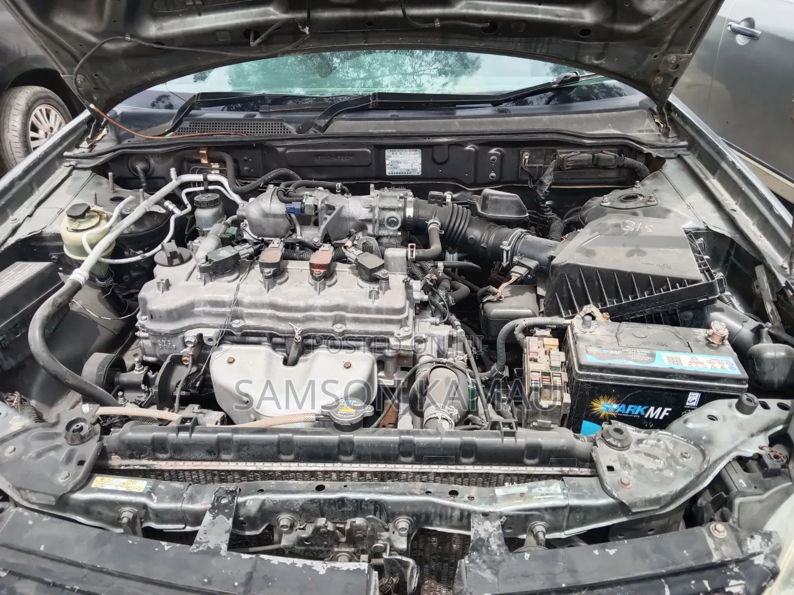 Nissan Wingroad 2006 Green