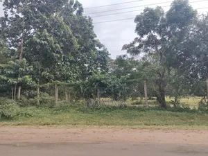 Commercial/Residential Plots for Sale on the Road (Ganda, Malindi)