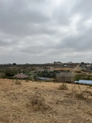 Prime 40*100 Plot for Sale juja Mastore