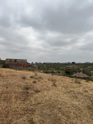 Prime 40*100 Plot for Sale juja Mastore