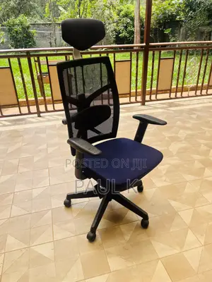 Ergonomic Mesh Office Chair With Headrest