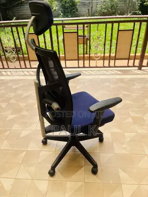 Ergonomic Mesh Office Chair With Headrest