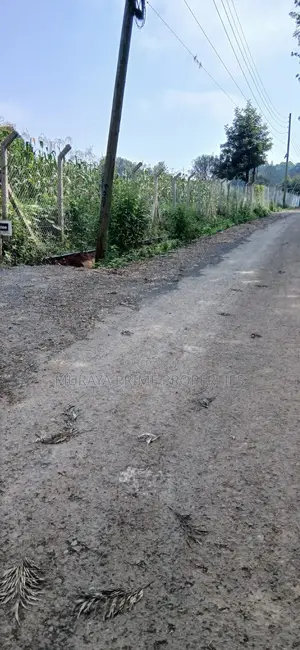 Half-Acre Prime Plot for Sale – Kerarapon Drive