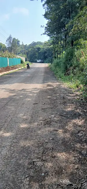 Half-Acre Prime Plot for Sale – Kerarapon Drive