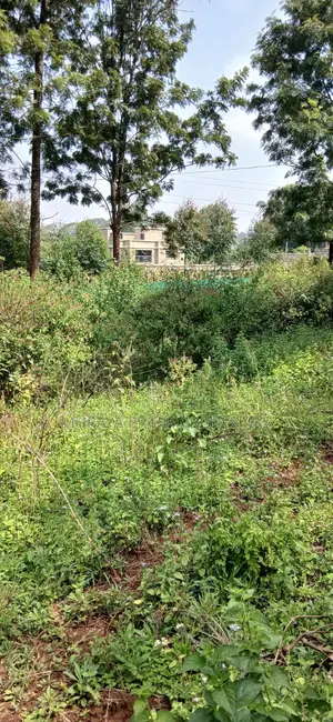 Half-Acre Prime Plot for Sale – Kerarapon Drive