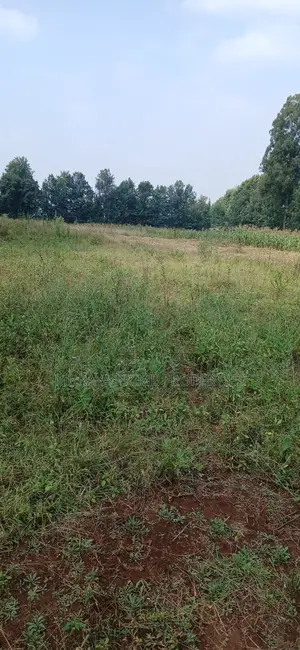Half-Acre Prime Plot for Sale – Kerarapon Drive