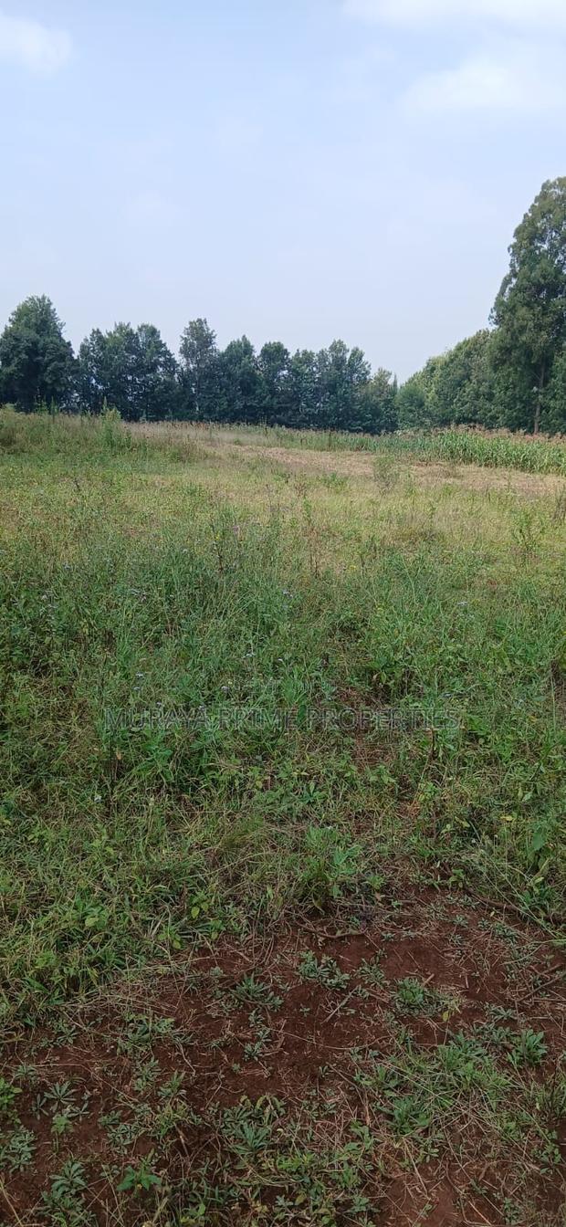 Half-Acre Prime Plot for Sale – Kerarapon Drive - thumbnail 5