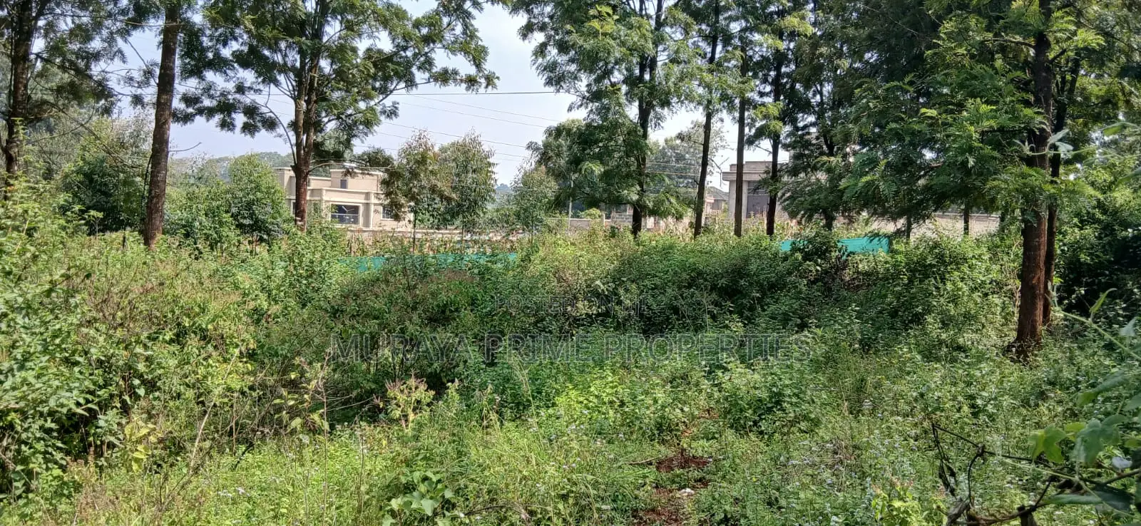 Half-Acre Prime Plot for Sale – Kerarapon Drive