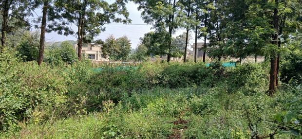Half-Acre Prime Plot for Sale – Kerarapon Drive - thumbnail 6