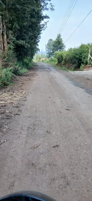 Quarter Acre Prime Plot for Sale – Kerarapon Drive
