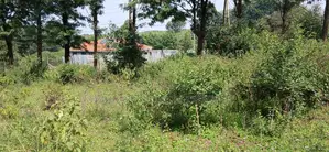 Quarter Acre Prime Plot for Sale – Kerarapon Drive