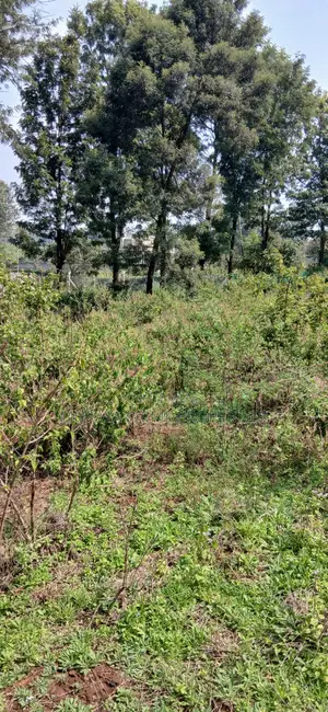 Quarter Acre Prime Plot for Sale – Kerarapon Drive