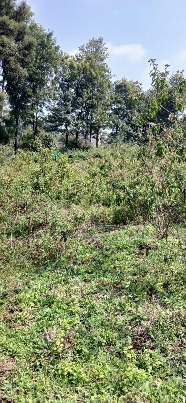 Quarter Acre Prime Plot for Sale – Kerarapon Drive