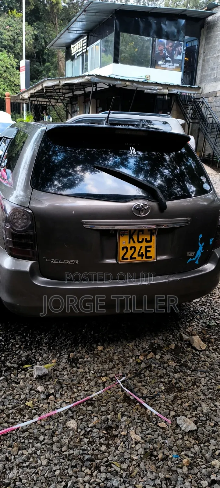 Toyota Corolla Fielder 2009