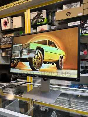 Dell P2417H IPS Display Monitor FHD(1080p) 24inch