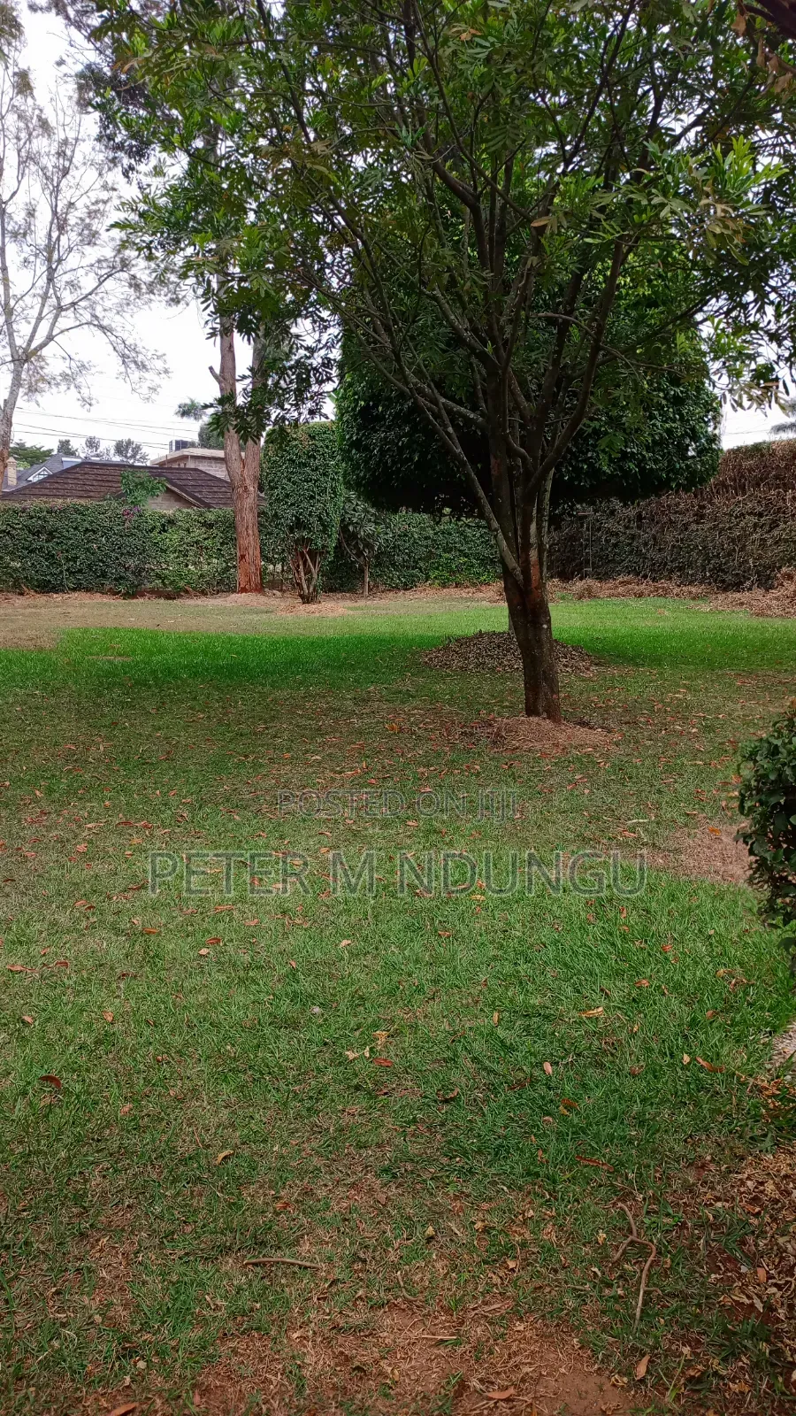 6bdrm Maisonette in Muthaiga North for rent