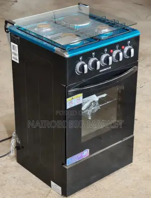 New Model 50*55 Vision 3+1 Standing Cooker
