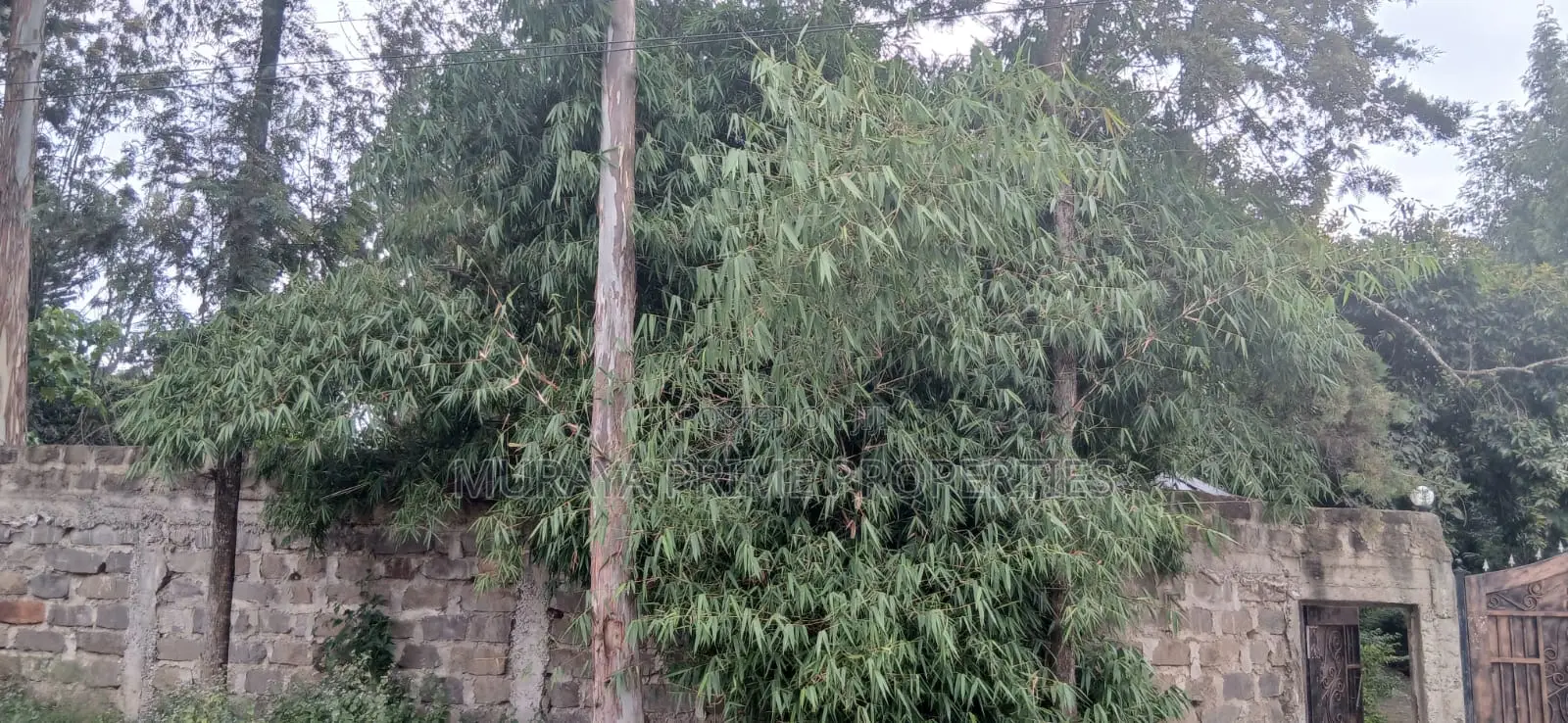 Prime 1⁄2 Acre Property for Sale – Kerarapon Drive, Karen