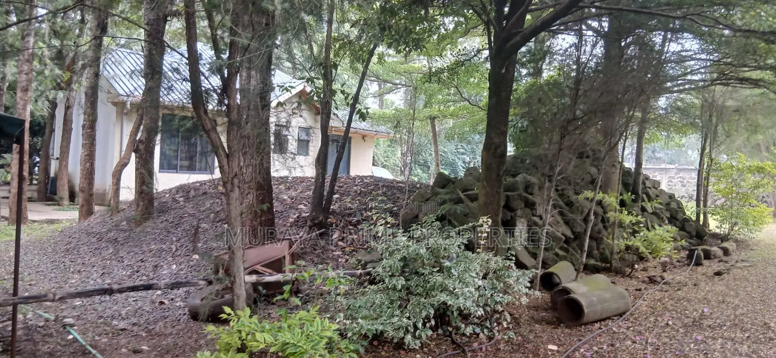 Prime 1⁄2 Acre Property for Sale – Kerarapon Drive, Karen