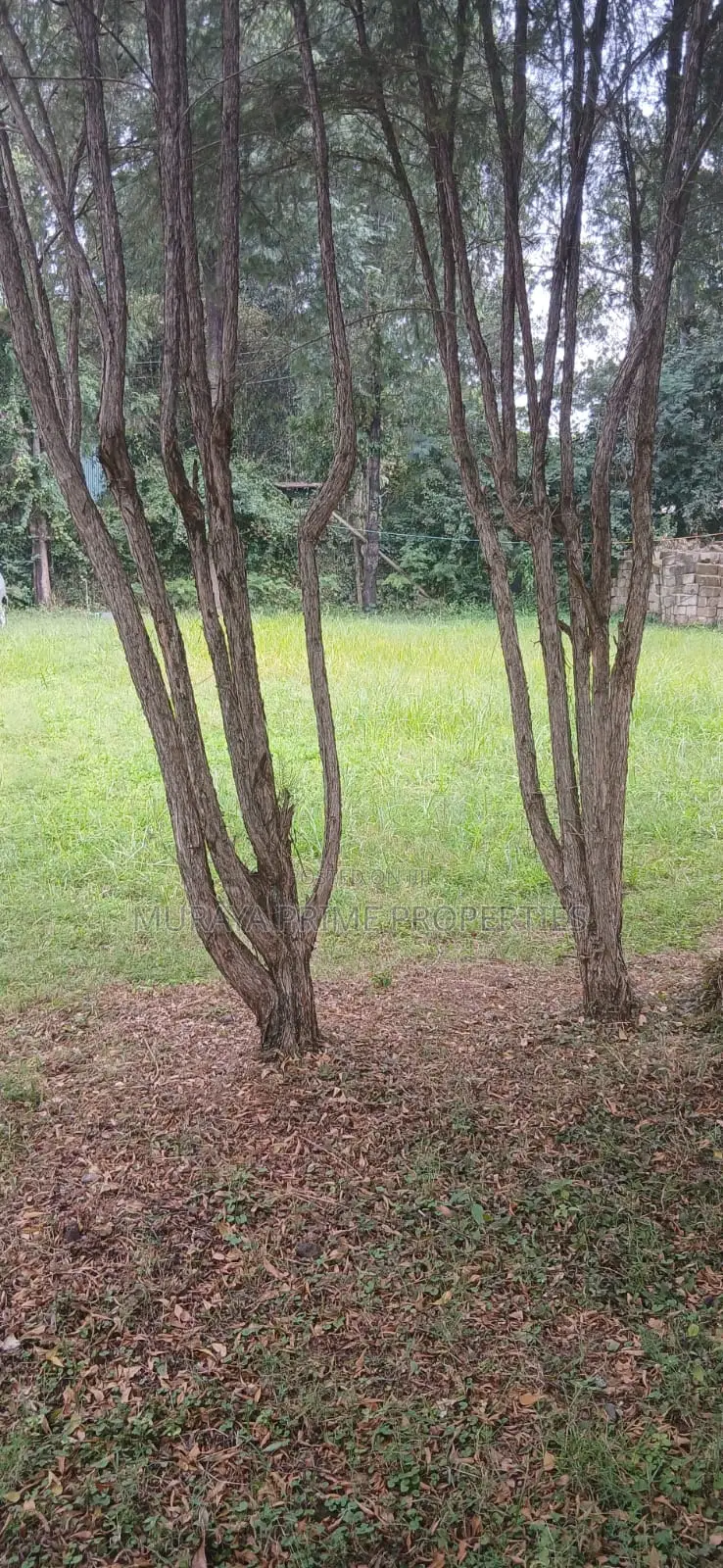 Prime 1⁄2 Acre Property for Sale – Kerarapon Drive, Karen
