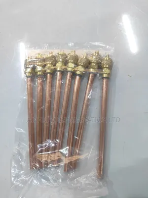 Charging Valves