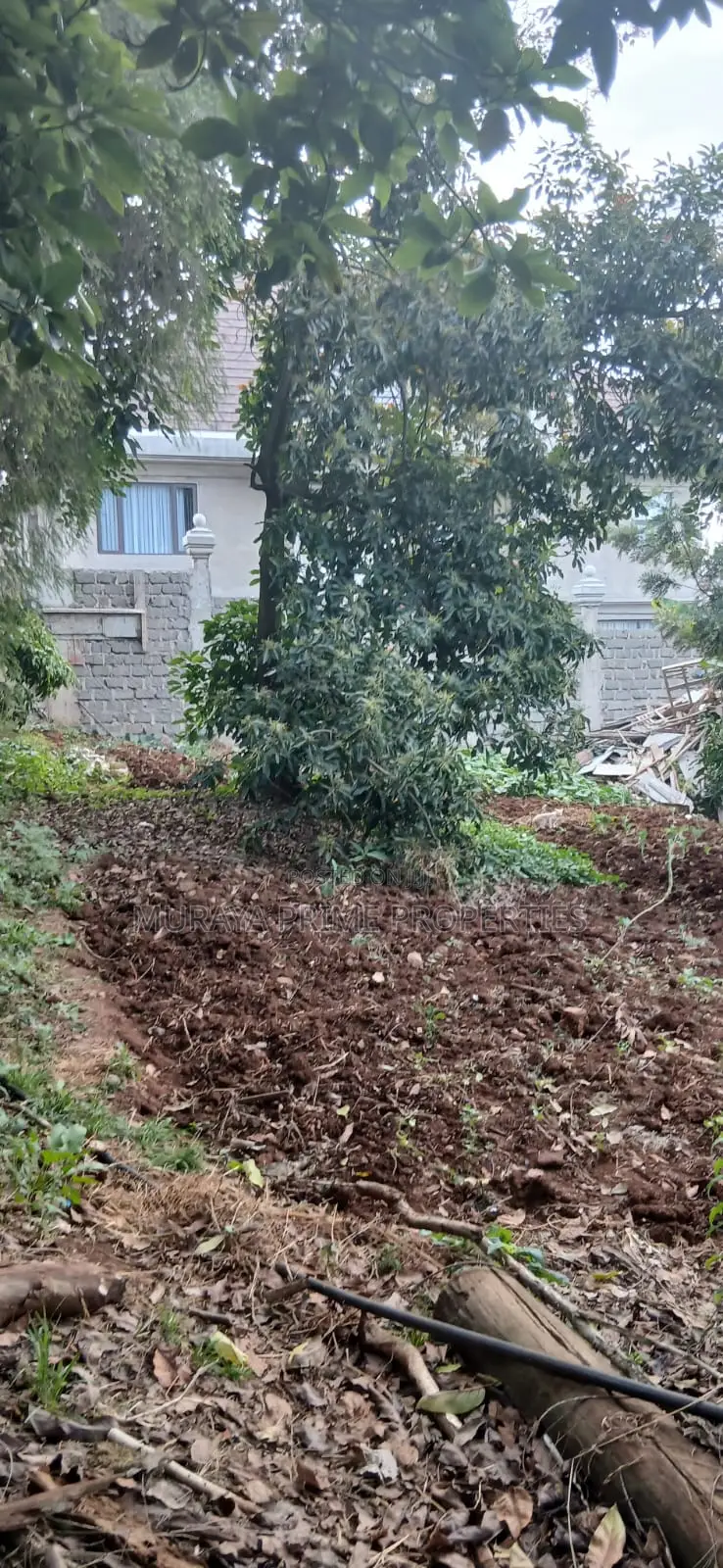 Quarter-Acre Prime Plot for Sale – Kerarapon Drive