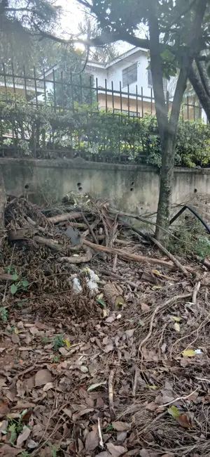 Quarter-Acre Prime Plot for Sale – Kerarapon Drive