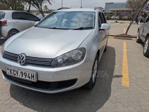 Volkswagen Golf 2013 Silver
