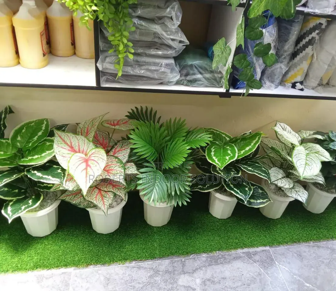 Artificial Home Decor Plants