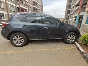 Nissan Murano 2013 Blue