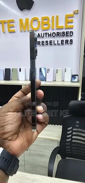 Apple iPhone 13 Pro Max 256 GB Gray