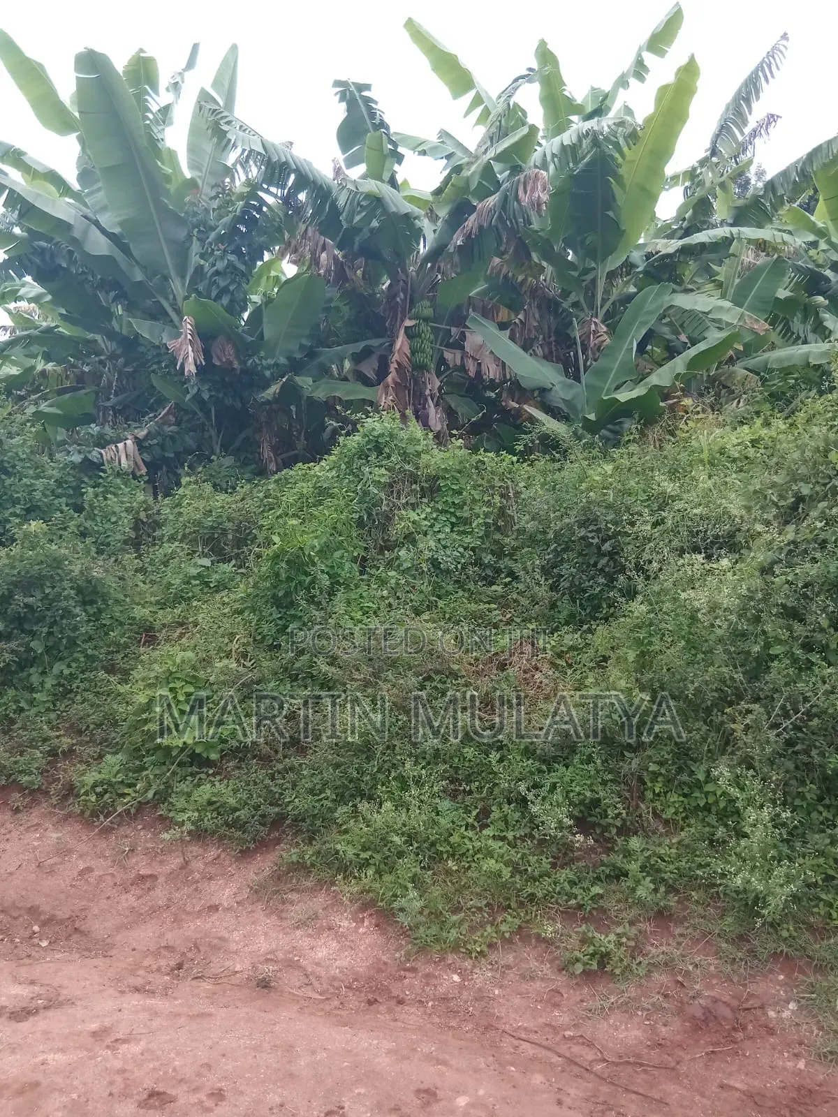 24 Acres at Mwala