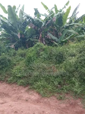 24 Acres at Mwala