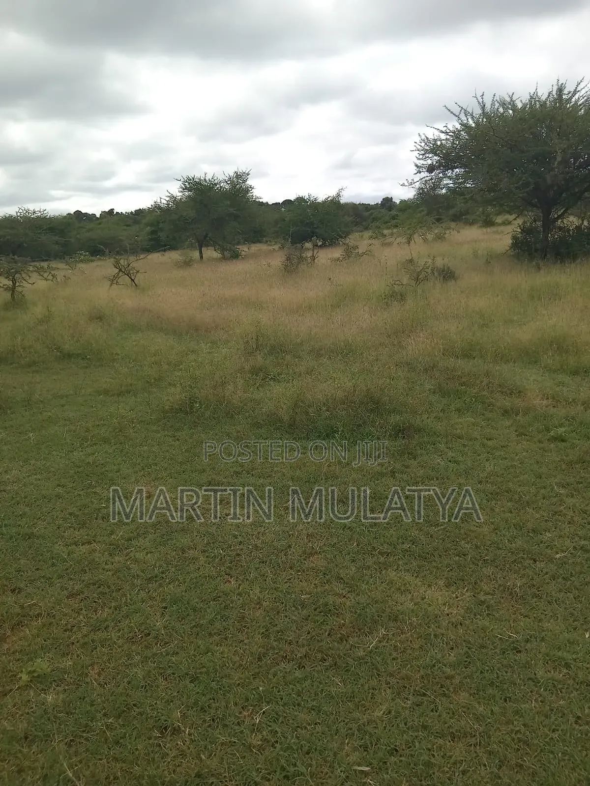 24 Acres at Mwala