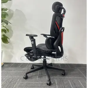 Executive Mesh Chair With Footrest