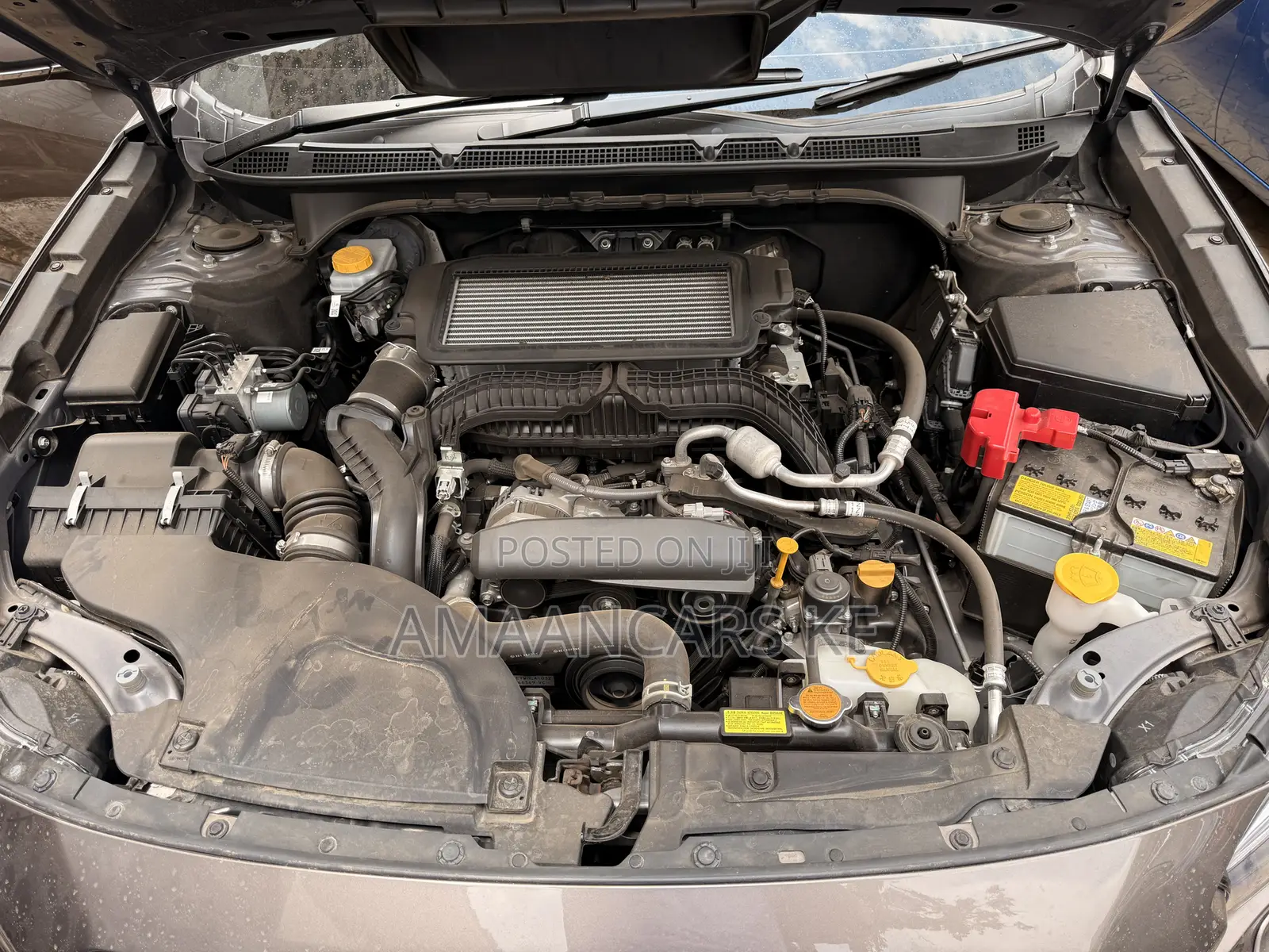 Subaru Outback 2022 Gray