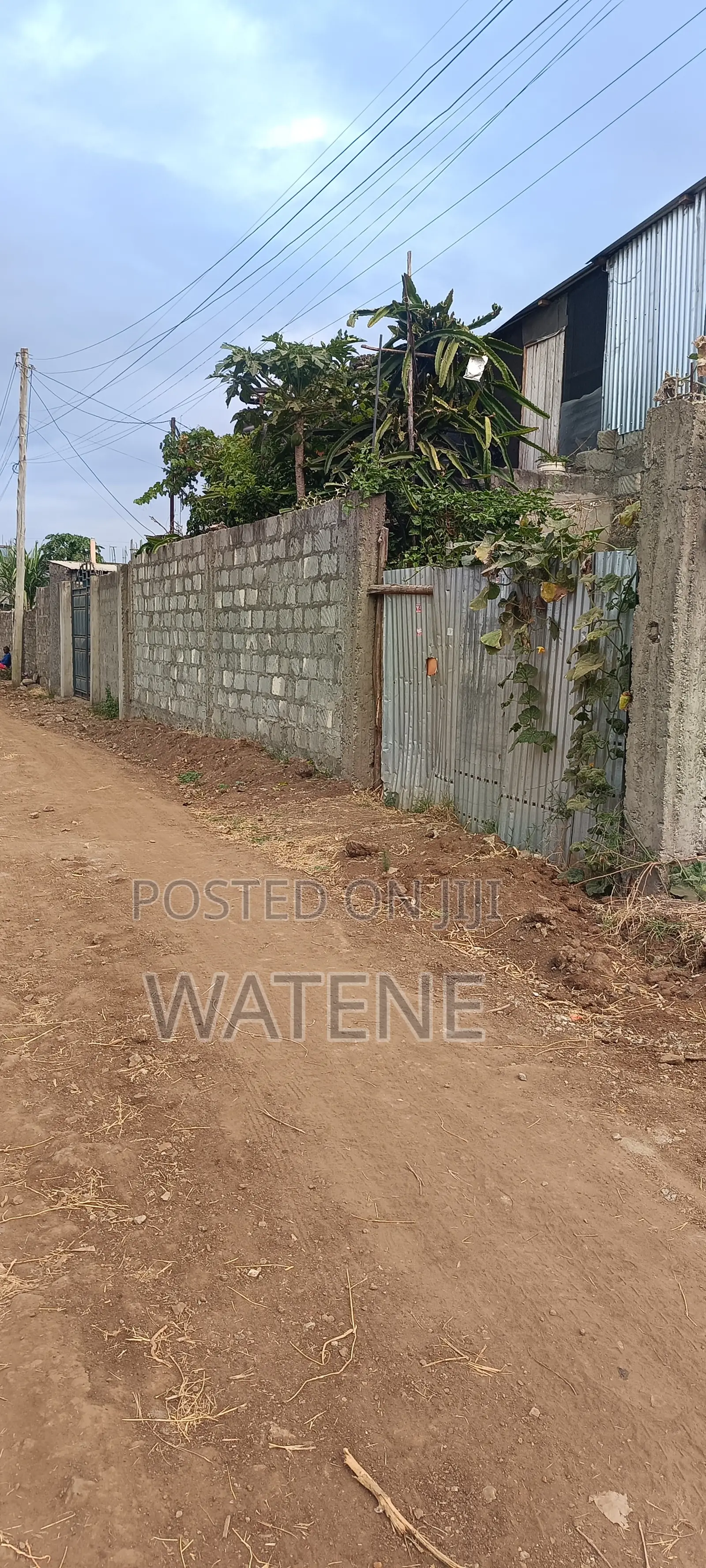 Prime Plots for Sale
