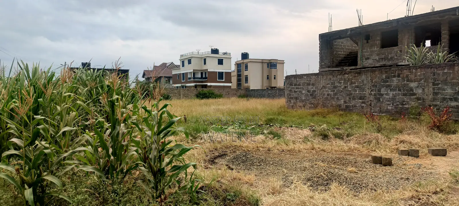 Prime Plots for Sale