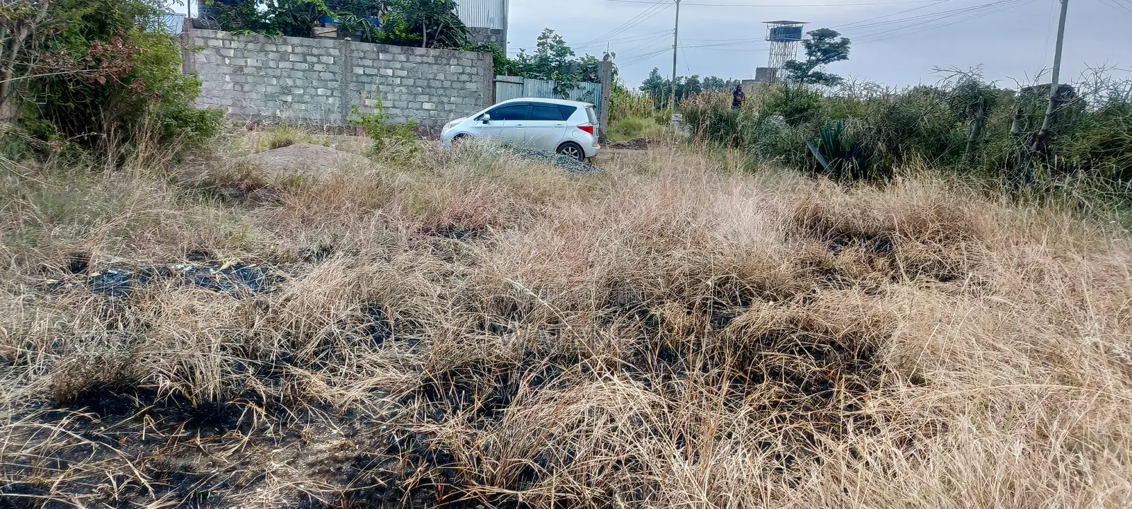 Prime Plots for Sale